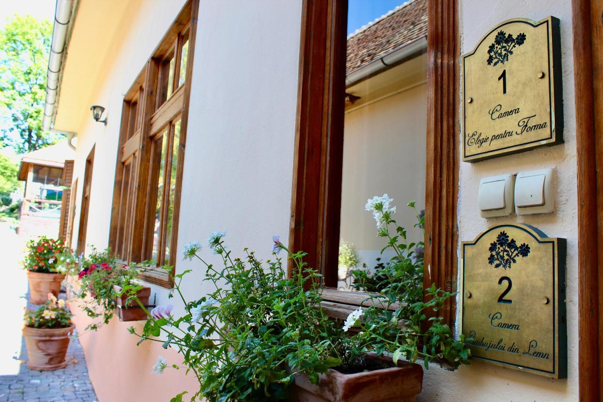 Casa Agora Cisnadioara Exterior foto