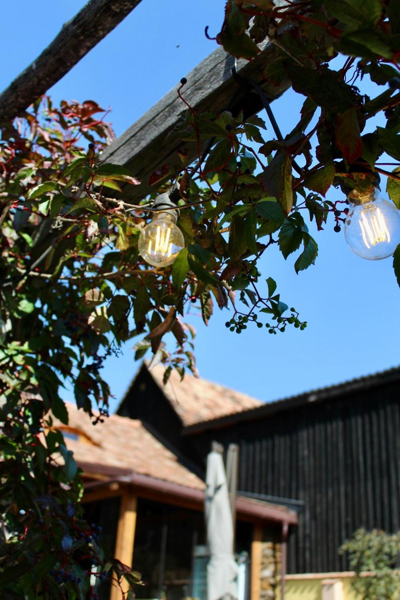 Casa Agora Cisnadioara Exterior foto